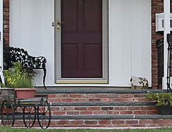 Brick Steps